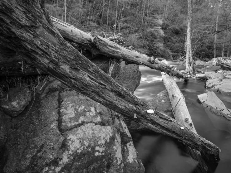 Three logs for a triangle ina and above Little River, GSMNP