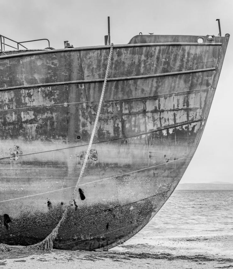 The bow of an old ship rises from the mudflats. You can also see the line with seaweed attached.