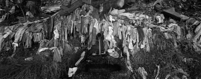 Cloth hanging in tree 