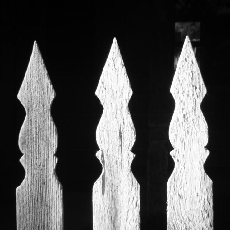 Three white pickets stand in the afternoon sun as part of a picket fence in Bannack, MT.